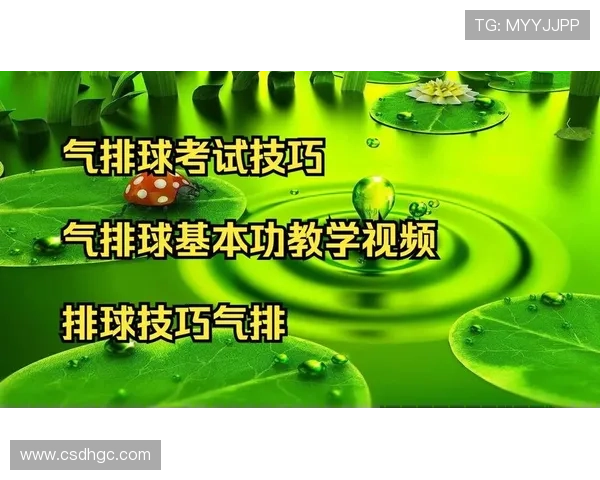 全面提升排球技术的系统化分步教学视频课程综合实用训练全程指南