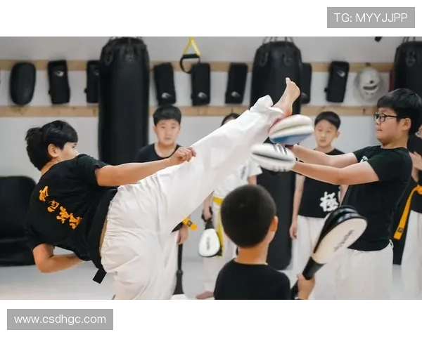 从基础到实战的空手道核心技巧系统分享指南提升训练效率与应用能力