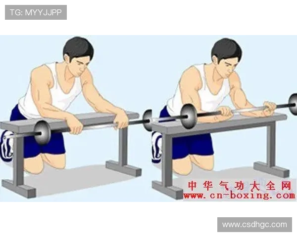 击剑运动中的安全与技巧：新手必知的注意事项与训练要点